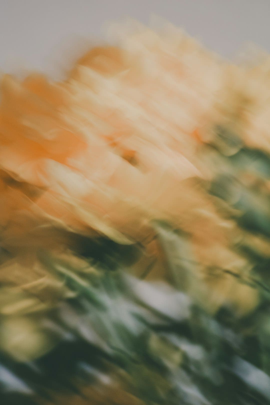 https://img2.utuku.imgcdc.com/650x0/news/20250905/2b333edd-ba7a-45ad-919c-06f7815ed473.jpg
